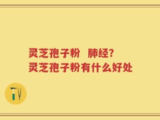灵芝孢子粉  肺经？灵芝孢子粉有什么好处