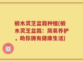 椴木灵芝盆栽种植(椴木灵芝盆栽：简易养护，助你拥有健康生活)
