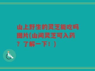 山上野生的灵芝能吃吗图片(山间灵芝可入药？了解一下！)