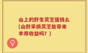 山上的野生灵芝值钱么(山野采摘灵芝能带来丰厚收益吗？)