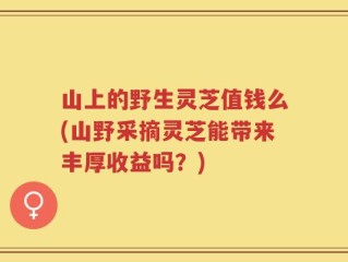 山上的野生灵芝值钱么(山野采摘灵芝能带来丰厚收益吗？)