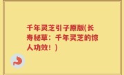 千年灵芝引子原版(长寿秘草：千年灵芝的惊人功效！)