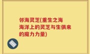邻海灵芝(重生之海 海洋上的灵芝与生俱来的魔力力量)
