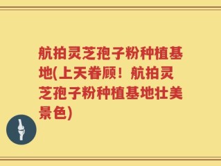 航拍灵芝孢子粉种植基地(上天眷顾！航拍灵芝孢子粉种植基地壮美景色)