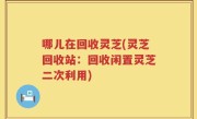 哪儿在回收灵芝(灵芝回收站：回收闲置灵芝二次利用)