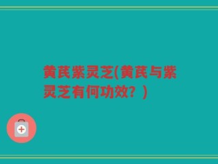 黄芪紫灵芝(黄芪与紫灵芝有何功效？)