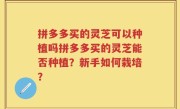 拼多多买的灵芝可以种植吗拼多多买的灵芝能否种植？新手如何栽培？