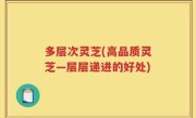多层次灵芝(高品质灵芝—层层递进的好处)
