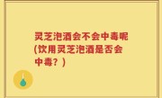 灵芝泡酒会不会中毒呢(饮用灵芝泡酒是否会中毒？)