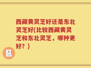 西藏黄灵芝好还是东北灵芝好(比较西藏黄灵芝和东北灵芝，哪种更好？)