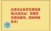 云南文山有灵芝栽培基地(云南文山：发掘灵芝栽培基地，探秘种植技术)