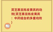灵芝黑豆陈皮黄芪的功效(灵芝黑豆陈皮黄芪：中药组合的多重功效)