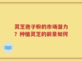 灵芝孢子粉的市场潜力？种植灵芝的前景如何