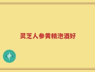 灵芝人参黄精泡酒好