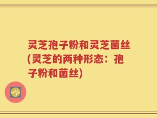 灵芝孢子粉和灵芝菌丝(灵芝的两种形态：孢子粉和菌丝)