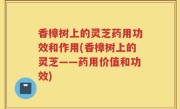 香樟树上的灵芝药用功效和作用(香樟树上的灵芝——药用价值和功效)