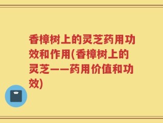 香樟树上的灵芝药用功效和作用(香樟树上的灵芝——药用价值和功效)