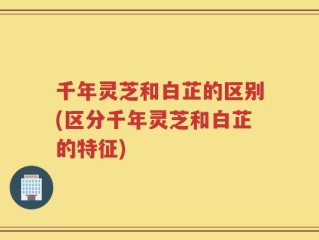 千年灵芝和白芷的区别(区分千年灵芝和白芷的特征)