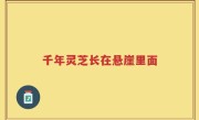 千年灵芝长在悬崖里面