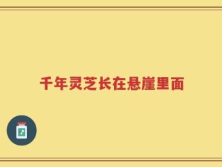 千年灵芝长在悬崖里面