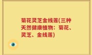 菊花灵芝金线莲(三种天然健康植物：菊花、灵芝、金线莲)