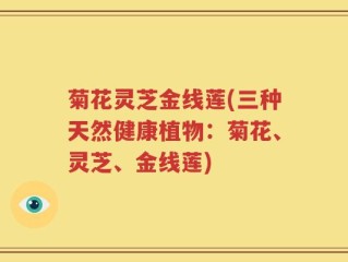 菊花灵芝金线莲(三种天然健康植物：菊花、灵芝、金线莲)