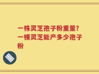 一株灵芝孢子粉重量？一棵灵芝能产多少孢子粉