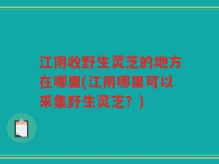 江阴收野生灵芝的地方在哪里(江阴哪里可以采集野生灵芝？)