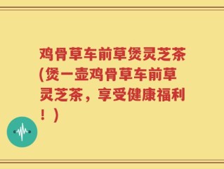 鸡骨草车前草煲灵芝茶(煲一壶鸡骨草车前草灵芝茶，享受健康福利！)