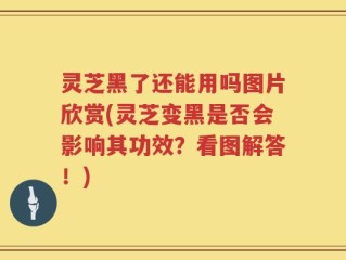 灵芝黑了还能用吗图片欣赏(灵芝变黑是否会影响其功效？看图解答！)