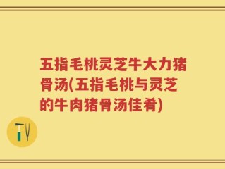 五指毛桃灵芝牛大力猪骨汤(五指毛桃与灵芝的牛肉猪骨汤佳肴)