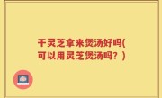 干灵芝拿来煲汤好吗(可以用灵芝煲汤吗？)