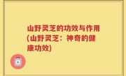 山野灵芝的功效与作用(山野灵芝：神奇的健康功效)