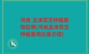 河南 孟津灵芝种植基地在哪(河南孟津灵芝种植基地位置介绍)