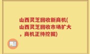 山西灵芝回收新商机(山西灵芝回收市场扩大，商机正待挖掘)