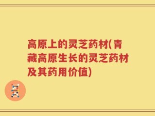 高原上的灵芝药材(青藏高原生长的灵芝药材及其药用价值)