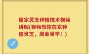 居家灵芝种植技术视频讲解(视频教你在家种植灵芝，简单易学！)