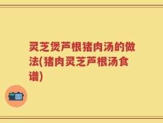 灵芝煲芦根猪肉汤的做法(猪肉灵芝芦根汤食谱)