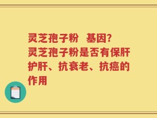 灵芝孢子粉  基因？灵芝孢子粉是否有保肝护肝、抗衰老、抗癌的作用