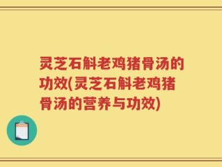 灵芝石斛老鸡猪骨汤的功效(灵芝石斛老鸡猪骨汤的营养与功效)