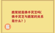 鹿茸就是佛手灵芝吗(佛手灵芝与鹿茸的关系是什么？)