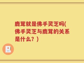 鹿茸就是佛手灵芝吗(佛手灵芝与鹿茸的关系是什么？)