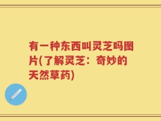 有一种东西叫灵芝吗图片(了解灵芝：奇妙的天然草药)