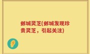 邺城灵芝(邺城发现珍贵灵芝，引起关注)
