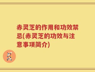 赤灵芝的作用和功效禁忌(赤灵芝的功效与注意事项简介)