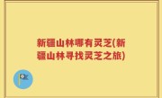 新疆山林哪有灵芝(新疆山林寻找灵芝之旅)