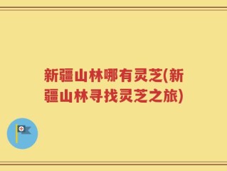 新疆山林哪有灵芝(新疆山林寻找灵芝之旅)