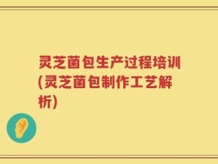 灵芝菌包生产过程培训(灵芝菌包制作工艺解析)