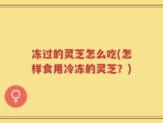 冻过的灵芝怎么吃(怎样食用冷冻的灵芝？)