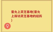 雷允上灵芝基地(雷允上探访灵芝基地的经历)